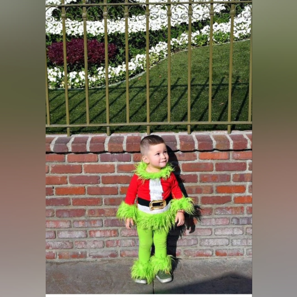 Grinch unisex costume